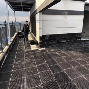 Panneau <span class=keywords><strong>de</strong></span> drainage <span class=keywords><strong>en</strong></span> plastique noir HDPE 500x500 verdissement plante filtre à eau isolation <span class=keywords><strong>de</strong></span> toit jardin tapis <span class=keywords><strong>de</strong></span> pelouse <span class=keywords><strong>plaque</strong></span> <span class=keywords><strong>de</strong></span> drainage <span class=keywords><strong>de</strong></span> lit routier - Product Image 4