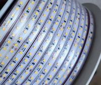 Prix d'usine Bande LED AC220V 2835 120leds/m 100M 12W IP67 3000k 4000k 6500k Blanc Étanche Dimmable Flexible Bande LED Lumineuse