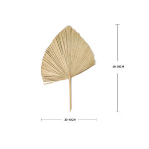 Gran venta al por mayor de la hoja de <span class=keywords><strong>palma</strong></span> secos pequeñas secas hojas de <span class=keywords><strong>palma</strong></span> decorativa de interior y al aire libre seco de hoja de <span class=keywords><strong>palma</strong></span> - Product Image 2