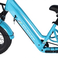 Tricycle électrique tout-terrain nouvelle génération 48V avec assistance électrique, roues larges, moteur avant 350W, autonomie 42km, idéal pour la neige