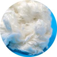 Fibre de bambou brute blanche 1.4D 38mm biodégradable pour le filage