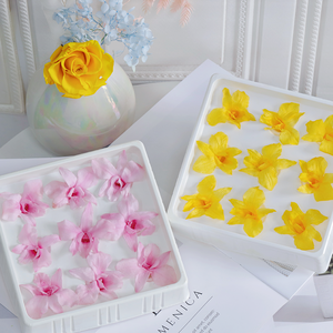 Fleurs décoratives stabilisées <span class=keywords><strong>Cymbidium</strong></span>, <span class=keywords><strong>prix</strong></span> d'usine en gros, naturelles et durables, 3-5 ans, pour la Fête des Mères - Product Image 1