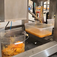Presse-agrumes automatique à moitié coupée, extracteur de jus, contrôlé par PLC, faible bruit, pour ligne de production de jus d'orange, de citron et de pamplemousse