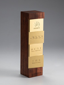 Trofeo Personalizzato in Legno e Oro per Competizioni e Riconoscimenti, Premio per Dipendenti Eccezionali - Product Image 3