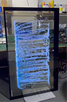 Écran OLED transparent interactif de 30 pouces, signalisation numérique, verre haute transparence, tactile capacitif 10 points, 43 % de transparence
