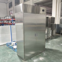 Système de stérilisation automatique à l'ozone pour usine de transformation alimentaire, contrôleur numérique en acier inoxydable pour vestiaire, puissance 2200W