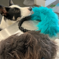 Jouet en peluche pour chien en fausse fourrure de lapin personnalisé, de haute qualité, interactif pour l'extérieur, jouets à mâcher pour chien à prix de gros