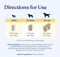 Usine Logo privé personnalisé soins pour animaux de compagnie glucosamine chondroïtine MSM supplément poudre de hanche et d'articulation pour animaux de compagnie pour chiens et chats
