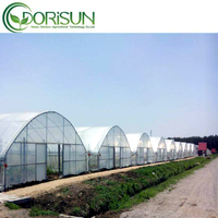 Serre Agricole Intelligente 30x96m Tunnel Culture Système Hydroponique Structure de Serre