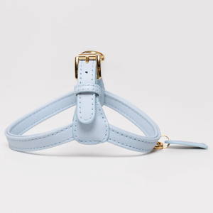 Arnés de cuero clásico para perros con hebilla dorada Etiqueta de nombre Fuerte tensión Fácil de usar para perros grandes, medianos y pequeños - Product Image 5