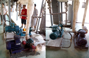 Độ nhớt cao NYP chống cháy nổ tốc độ biến mỡ keo nội bộ bánh răng bơm - Product Image 5