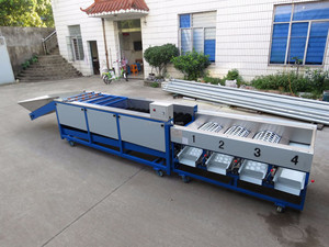 Macchina automatica ad alte prestazioni per il lavaggio e la classificazione dei pomodori ciliegia piccoli e medi/<span class=keywords><strong>ciliegie</strong></span>/cipolle al limone - Product Image 4