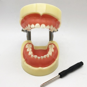 Modèle de préparation pour pédales, appareil orthopédique, soin des mains - Product Image 3