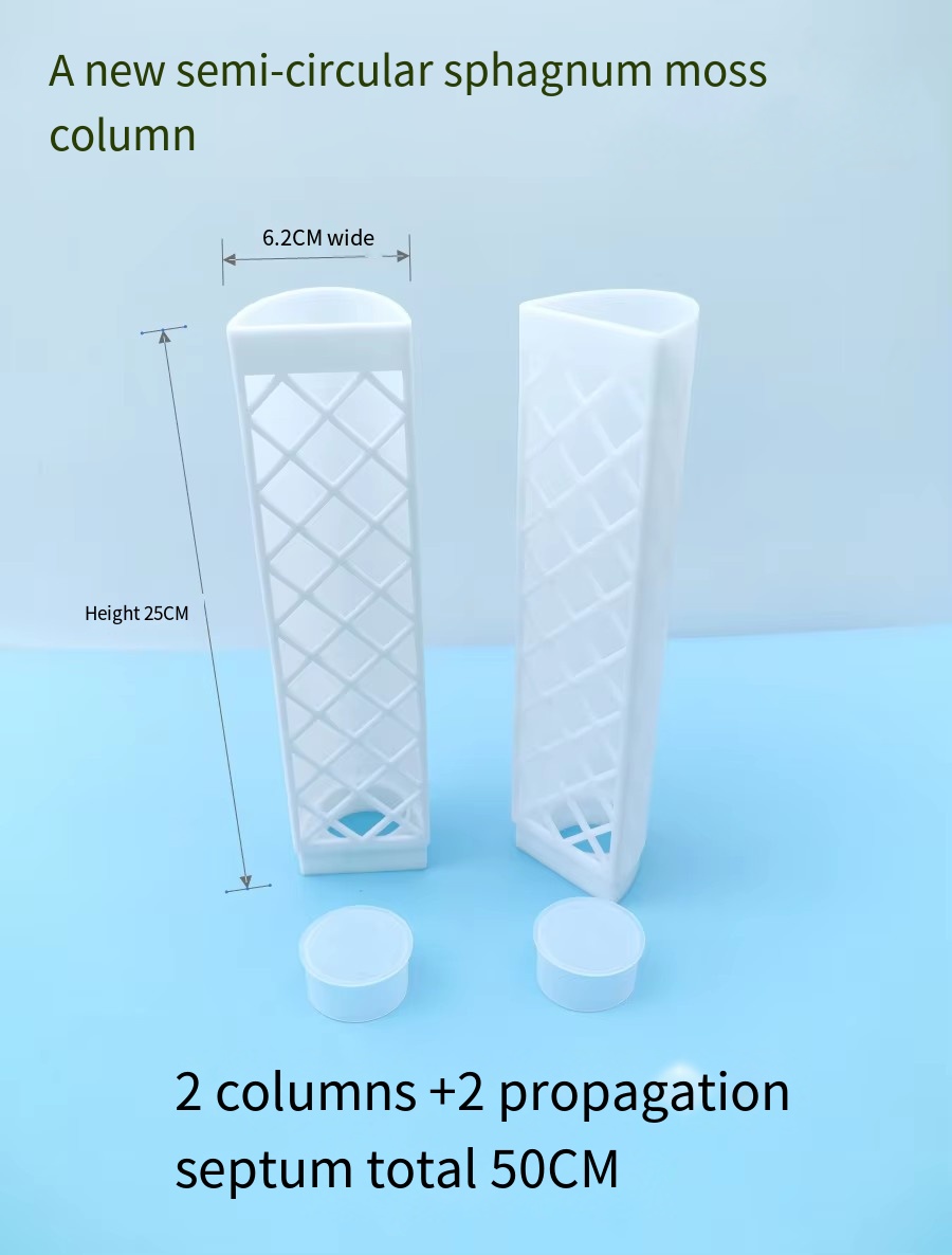 Blanc 2 piliers + 2 septums reproducteurs