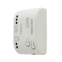 F0704 Ewelink Contrôleur de porte de garage WiFi intelligent-Module de NO-USB relais 1CH 85-250V avec voix Alexa et télécommande 433MHz