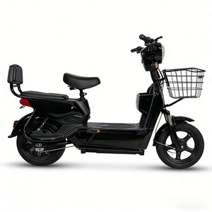 Motocicleta Eléctrica de 48V 350W/1000W con Motor en el Buje Trasero, Cuadro de Acero, Neumáticos de Vacío de 14 Pulgadas, 2 Asientos, 3 Velocidades, Batería de Litio, 30-50 km/h - Product Image 1