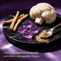 Gummies aux champignons Ashwagandha OEM ODM Marque Privée Vente en Gros Mélange Apaisant Naturel Adaptogène Crinière de Lion pour un Sommeil Quotidien