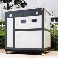 Generator Uap Industri Otomatis Vertikal Kecil 30 kW, Sirkulasi Alami, Tabung Api, Rendah Kebisingan, Efisiensi Tinggi, Berbahan Baja