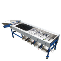 Machine de classement de triage d'olives Machine de classement de tomates cerises Machine de classement de fruits pour fruits ovales