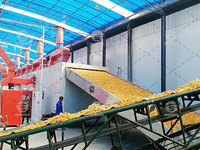 Séchoir à bande de 80 tonnes à air chaud orange, agrumes, pomme, marc de fruits, résidu de fruits, équipement de séchage de pulpe de fruits