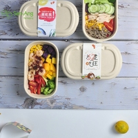 SenAng05 Vente directe usine Boîte à lunch réutilisable en pulpe de canne à sucre, 800 ml, avec plateau peu profond à 3 compartiments et conteneur à deux cellules