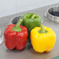 Mesin Pengupas Inti Cabai Hijau Mesin Pemisah Inti Paprika Hijau Mesin Pemisah Cabai Hijau