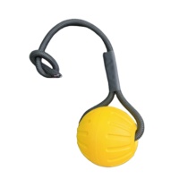 LY EVA – Nouvelle balle de sport écologique et simple pour chien, indestructible, pour le nettoyage des dents, résistante aux morsures, pour mâcheurs agressifs, interactive