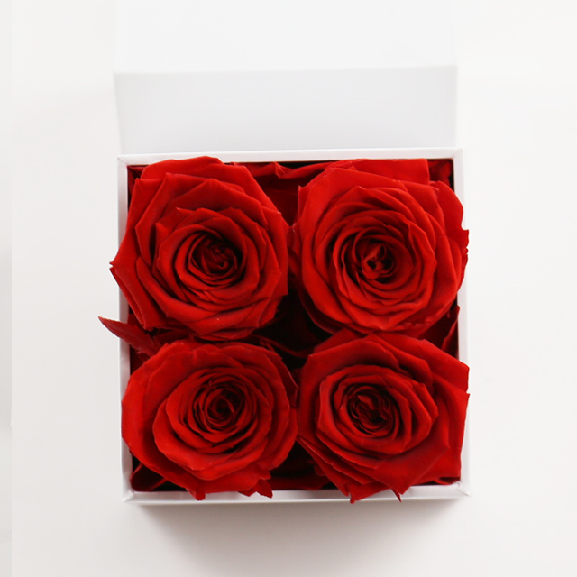 4 red roses in square box