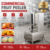 BlinkSong OEM ODM Commerciële Elektrische Schilmachine Automatische RVS Fruit- en Groenteschilmachine
