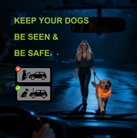Collier pour Chien Électronique à LED Réglable, Flash Rechargeable, Réfléchissant – Sécurité Nocturne Anti-Perte pour Animaux