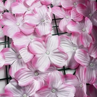 Panneau mural Clôture extérieure Clôture de jardin Clôture florale extensible 1x3