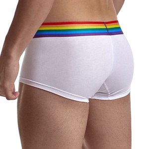 Ropa interior de hombre de arcoíris con logotipo tejido personalizado de fábrica, calzoncillos cortos clásicos cómodos de algodón puro, ropa interior para hombre - Product Image 5