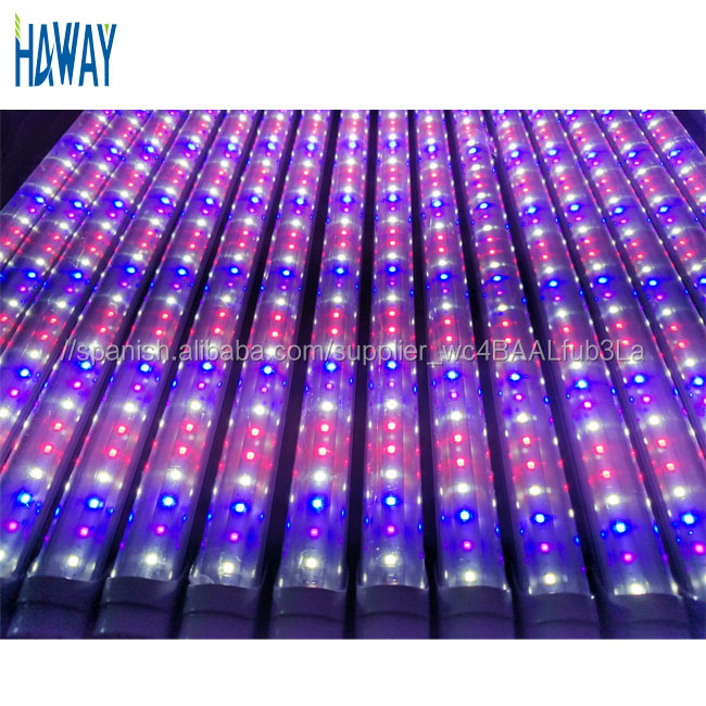 Versión Profesional T8 integrado lámpara doble fila 1,2 M 36W lleno espectro led crece la luz del tubo de la fábrica de China