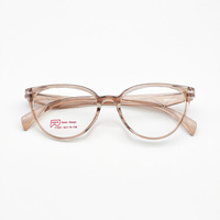 Lunettes optiques anti-lumière bleue pour femmes Taizhou avec cadres rayés Vintage TR Design animal bleu à la mode pour la protection des yeux