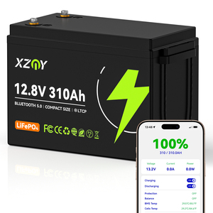 Batería de Litio de 12V 310Ah, Batería de 300Ah para Autocaravana, Motor Marino, Energía Solar, Sistema Fuera de la Red, Cabaña, Camping, 12.8V 300AH, 12v 310ah - Product Image 4