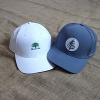 Casquettes de golf en PVC caoutchouc personnalisées haut de gamme avec logo de luxe, ajustables, respirantes, performantes, à 6 panneaux, pour le branding