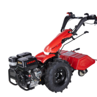Mini-cultivateurs agricoles diesel/essence de type BCS d'Italie, motoculteurs, motobineuses de jardin