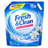 Op maat gemaakte logo bedrukte 5L 10L grote staande zak met tuit voor vloeibare wasmiddelverpakkingen, plastic draagtas