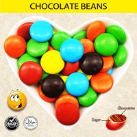 Suikerpoeder bedekte chocolade jelly bean met krokante schaal, fruit smaak, speelgoeddesign, ISO/HACCP gecertificeerd, aanpasbaar, groothandel in bulk