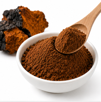 Extrait de champignon Chaga en poudre de haute pureté 10:1 20:1, double extraction, soluble dans l'eau, en vrac