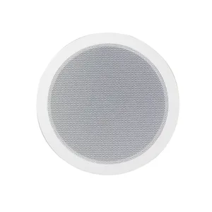 T Giá Rẻ PA 6.5 Inch Đầy Đủ Phạm Vi Vô Hình Loa Trần 8Ohm 10W Bên Trong Bức Tường Cấu Hình Thấp Loa Trần - Product Image 1