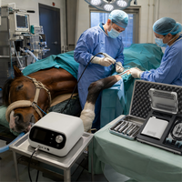 Sistema de Potencia Ortopédico Veterinario Compacto XY RJ01 con Pantalla Digital de Velocidad, Piezas de Mano Modulares y Bandeja de Esterilización