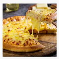 Four à pizza commercial électrique et à gaz avec contrôle de température par niveaux séparés pour la cuisson de pizzas en pizzeria