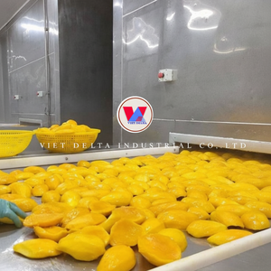 MANGO ENCANTADO DELICES TROPICALES/BAJAS CALORIAS, ALTAS VITAMINAS/FRESCO, JUGOSO, LISTO PARA COMER/VIETNAM - Product Image 1