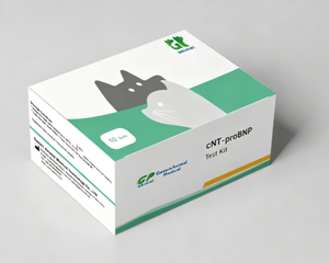 Kit de Prueba Rápida Canina Getein NT-proBNP (Ensayo de Inmunofluorescencia) para la detecció<span class=keywords><strong>n</strong></span> cuantitativa in <span class=keywords><strong>vitro</strong></span> de cNT-proBNP - Product Image 2