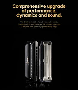 Armónica Trémolo Profesional de 10 Orificios, Cuerpo de Acero, Acabado Pulido, Tonalidad Personalizable en Do, Construcción Duradera, Marca OEM, Gran Venta - Product Image 2