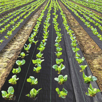 Toile géotextile anti-herbe en PP tissé stabilisée aux UV pour couverture agricole, rouleau de tissu noir, blanc, vert pour le contrôle des adventices et la protection des plantes