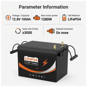 24V 100Ah 12V 100Ah LiFePO4 Lithium-Eisen-Batterie mit BMS Wasserdicht für Energiespeicherung - Product Image 3