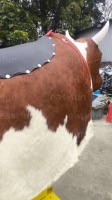 Juego de Toro Mecánico Eléctrico con Pelo de Toro Real, Juego Completo para Ferias y Exposiciones, con Tapete Inflable Impermeable de Fácil Limpieza