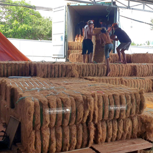 Fibra de Coco Ecológica de Alta Calidad 100% Natural (Eco2go Vietnam) de 20-25 cm de Longitud para Producción de Redes de Fibra de Coco para Agricultura - Product Image 6